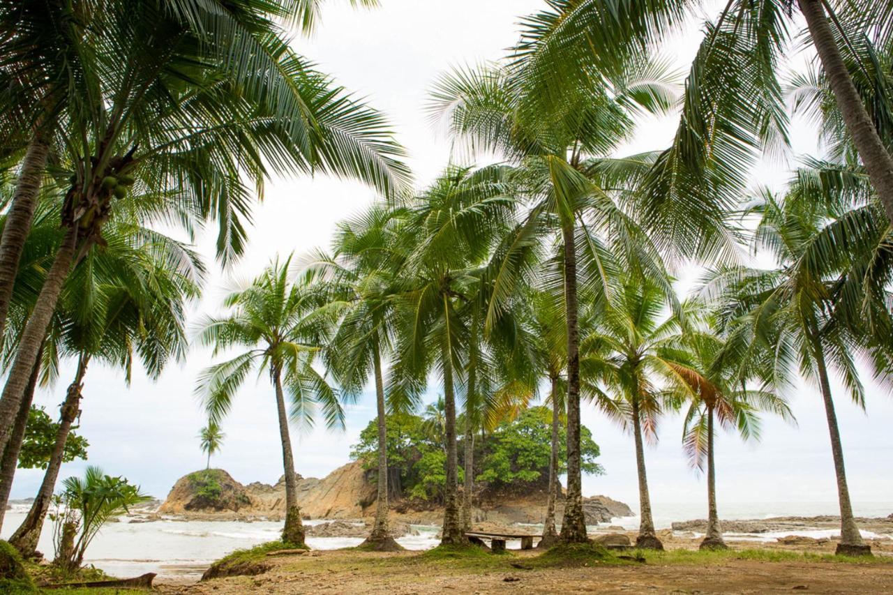 Pacific Edge Eco Lodge Dominical Extérieur photo