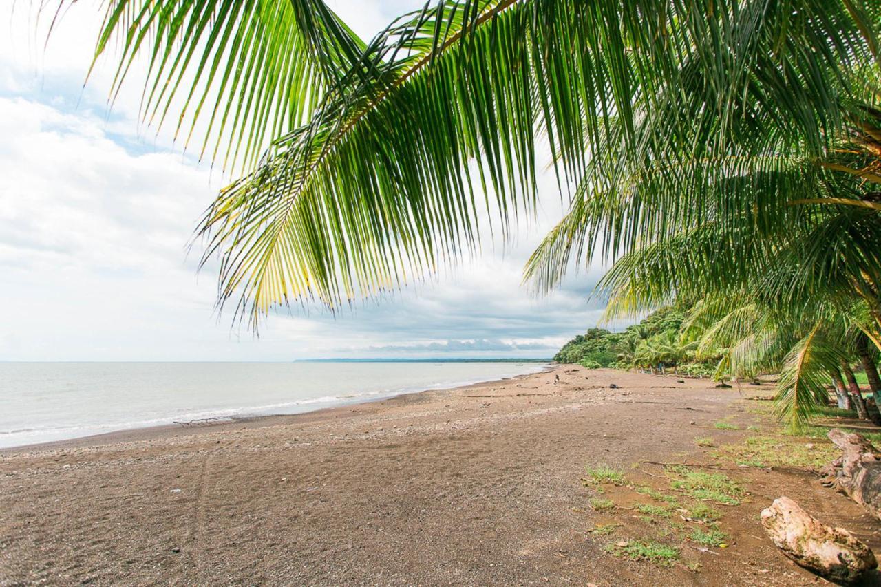 Pacific Edge Eco Lodge Dominical Extérieur photo
