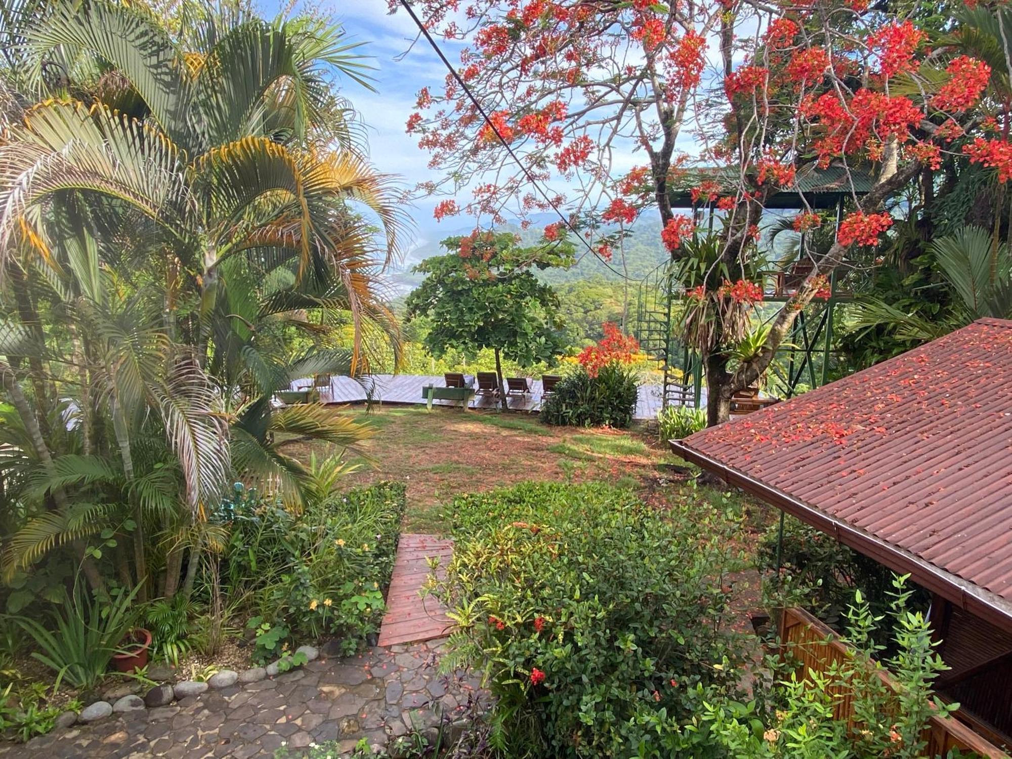 Pacific Edge Eco Lodge Dominical Extérieur photo